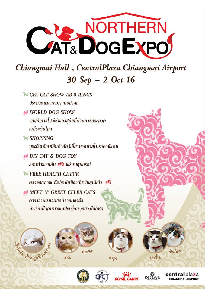 northern-catdog-expo