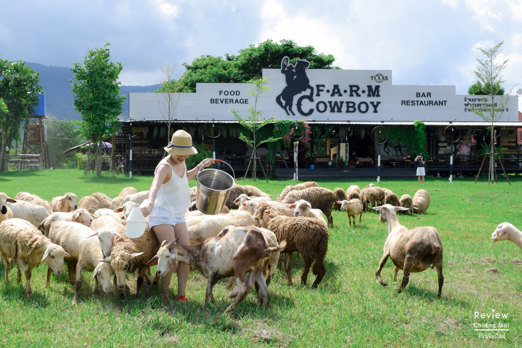 Farm Cowboy Chiang Mai