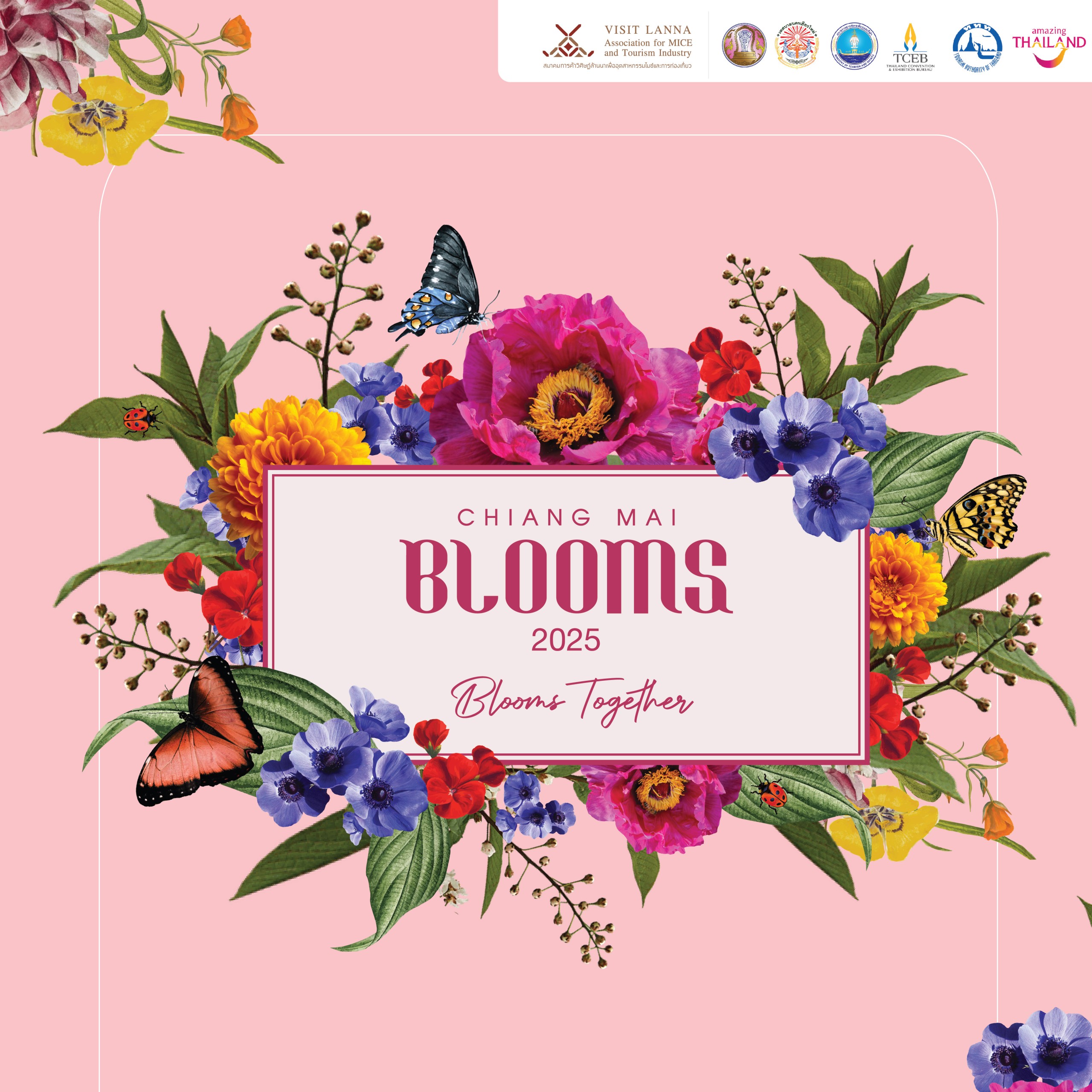 เริ่มแล้ว! Chiang Mai Blooms 2025 แล้วเราจะเบิกบานไปด้วยกัน