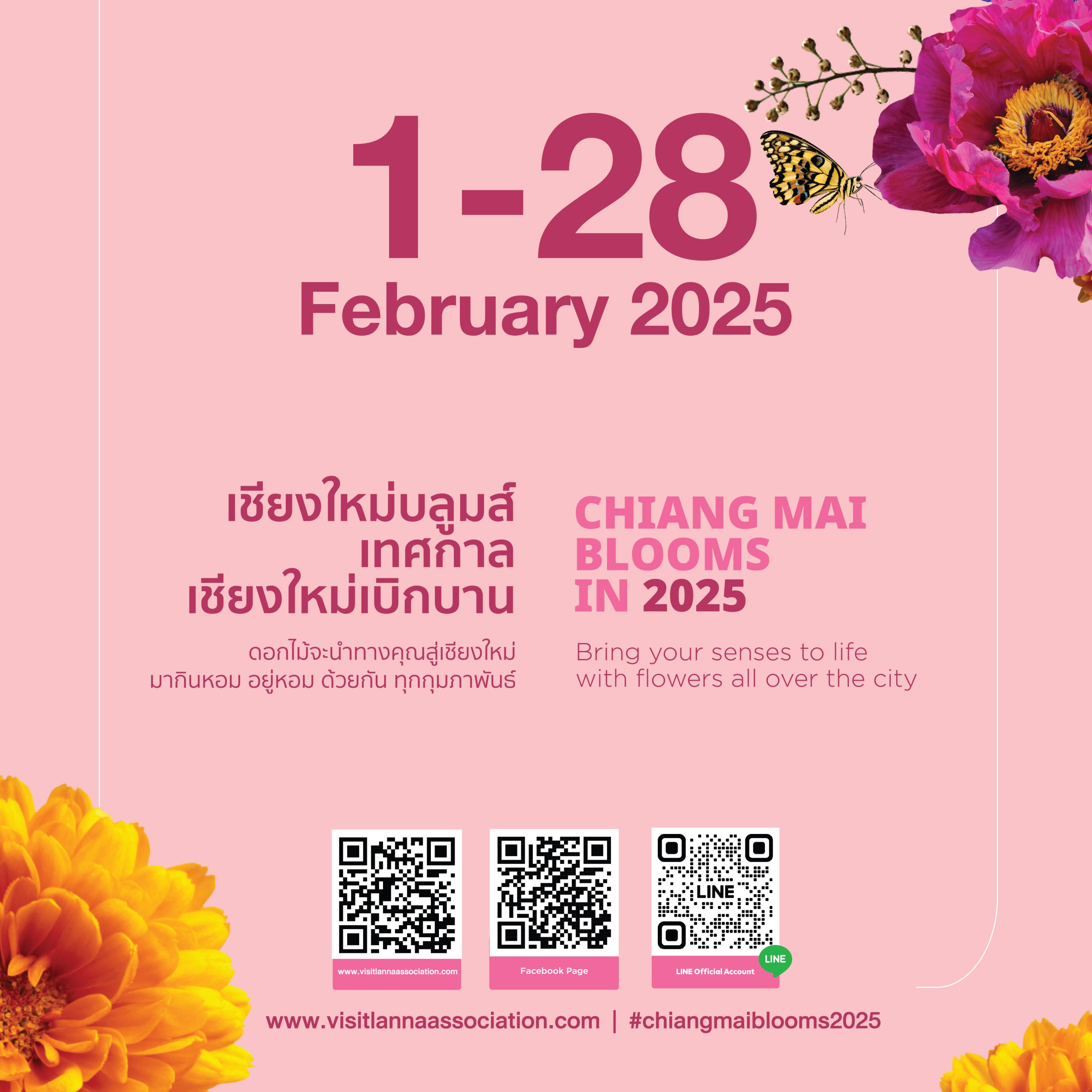 Chiang Mai Blooms 2025 - Blooms Together