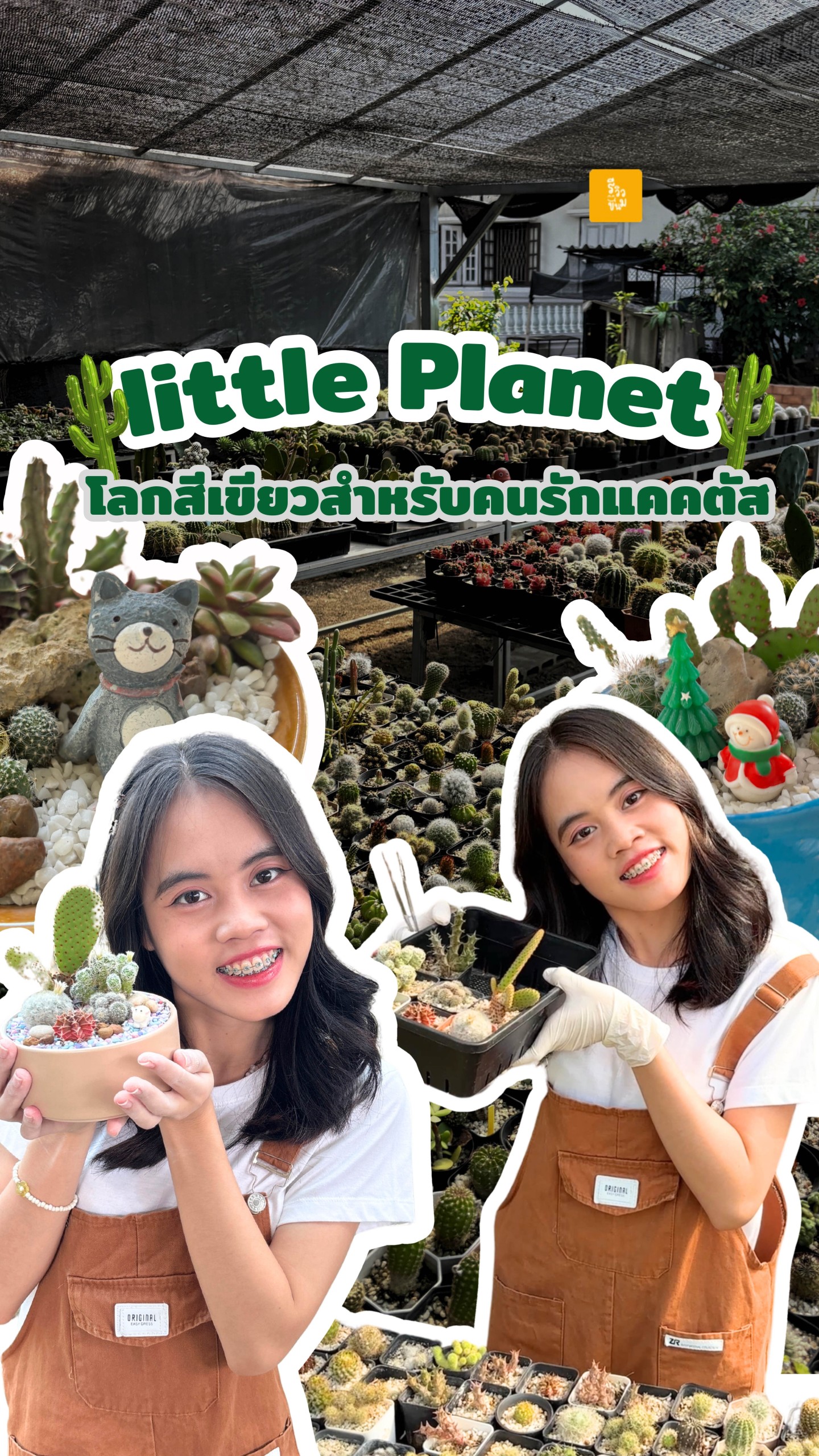 Little planet แคคตัสเชียงใหม่