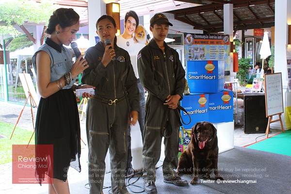 Welcome dog festival