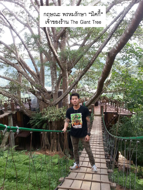 มิคกี้ - อายุ 35 ปี เจ้าของร้าน The Giant Tree Chiang Mai